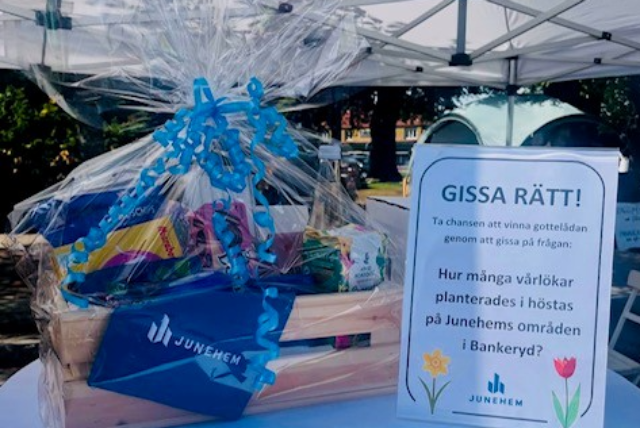 På Bankerydsdagen hade Junehem en tävling.